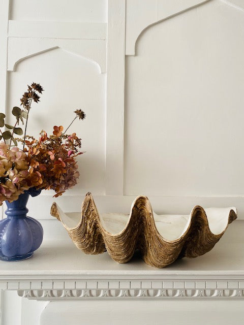 Large Clam Shell